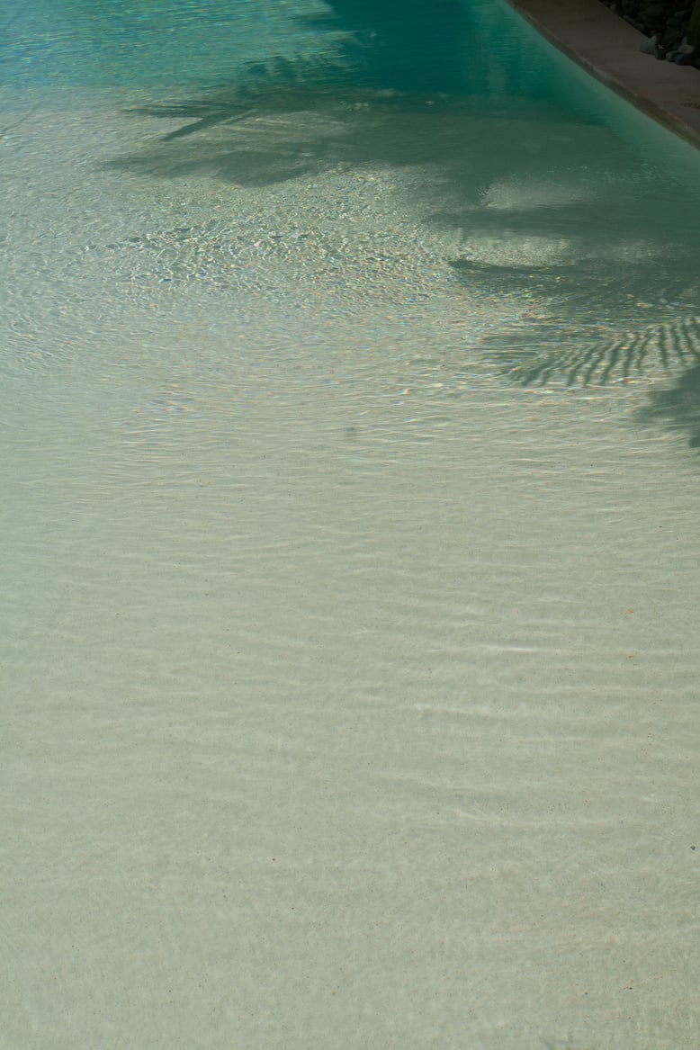 Shadows of Palm Trees on Pool Surface