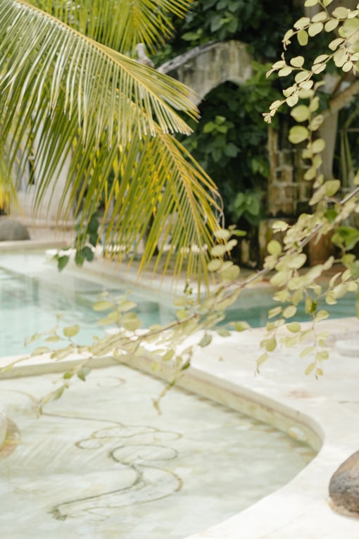 Green Palm Tree Near Swimming Pool